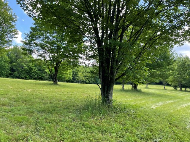 301 Brown Rd, Ulysses, PA 16948 - photo 11