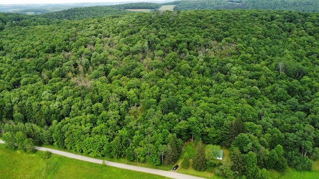 301 Brown Rd, Ulysses, PA 16948 - photo 26