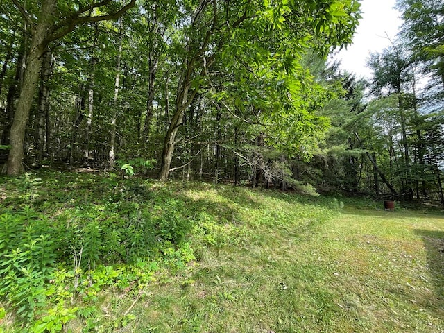 301 Brown Rd, Ulysses, PA 16948 - photo 28