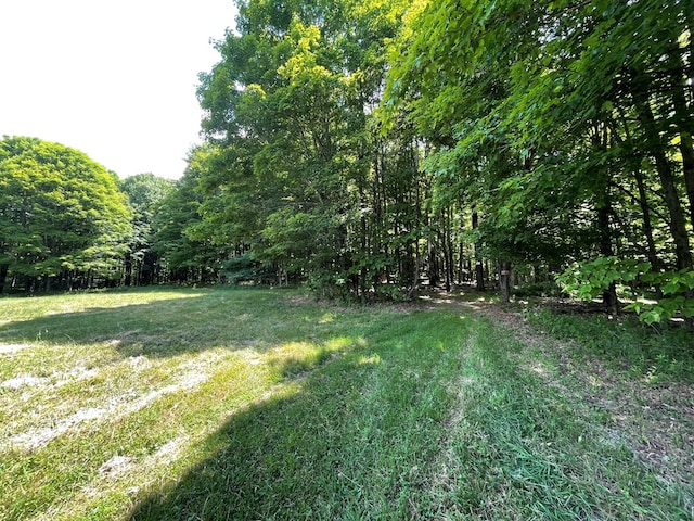 301 Brown Rd, Ulysses, PA 16948 - photo 18
