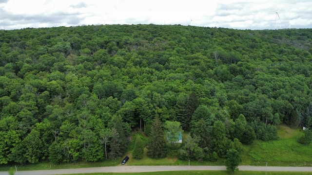 301 Brown Rd, Ulysses, PA 16948 - photo 6