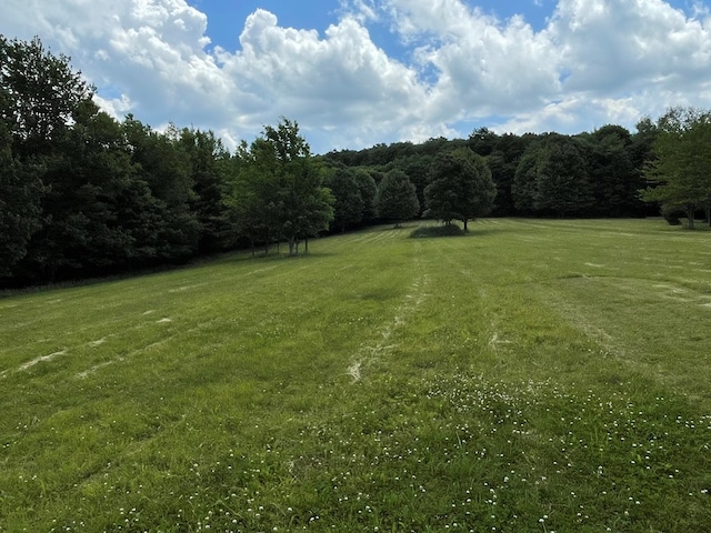 301 Brown Rd, Ulysses, PA 16948 - photo 13