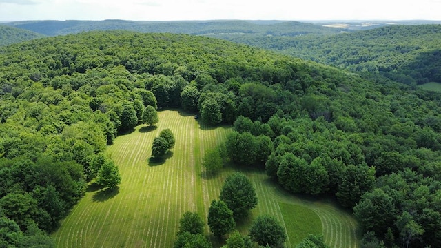 301 Brown Rd, Ulysses, PA 16948 - photo 23