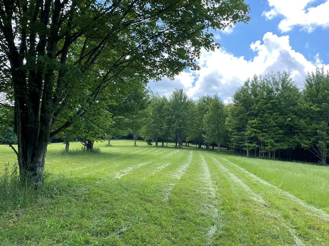 301 Brown Rd, Ulysses, PA 16948 - photo 9