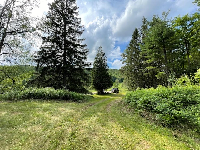 301 Brown Rd, Ulysses, PA 16948 - photo 8