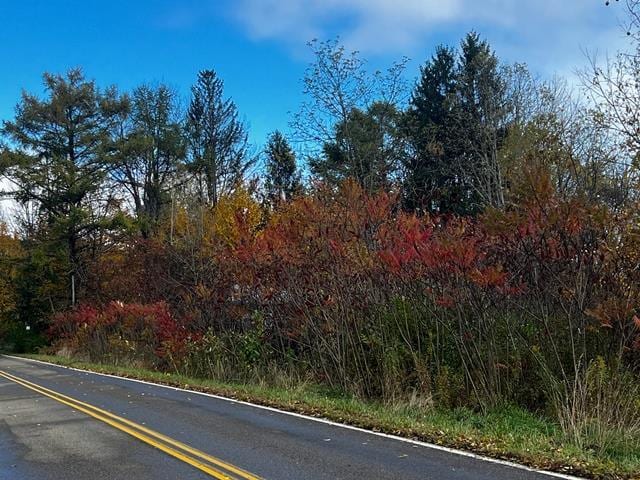 view of road