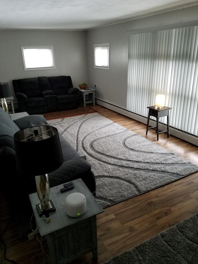 living room with hardwood / wood-style floors and a healthy amount of sunlight