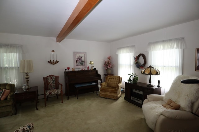 1 Mechanic St, Towanda, PA 18848 - carpeted living room featuring beamed ceiling
