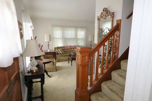 1 Mechanic St, Towanda, PA 18848 - stairway with carpet