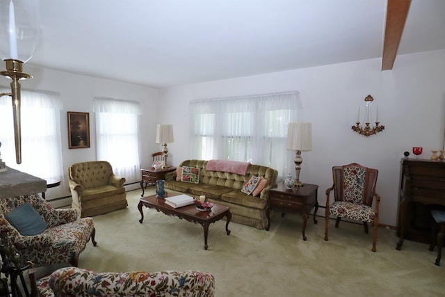 1 Mechanic St, Towanda, PA 18848 - living area with carpet floors and baseboard heating