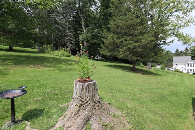 1 Mechanic St, Towanda, PA 18848 - view of grassy yard