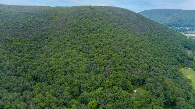 view of mountain feature with a forest view