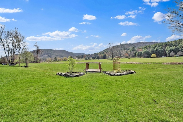 view of yard with a mountain view and a rural view