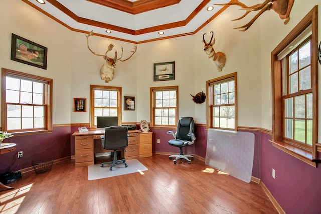 office space with hardwood / wood-style floors, a healthy amount of sunlight, a towering ceiling, and ornamental molding