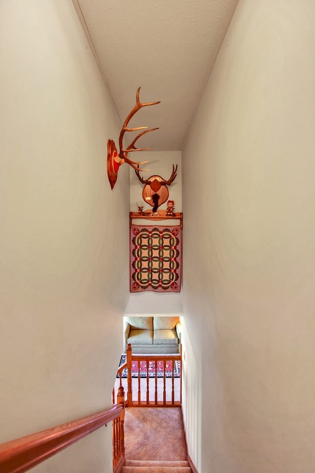 staircase featuring carpet