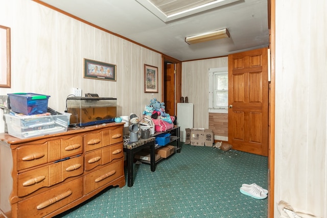 interior space featuring carpet floors and wood walls