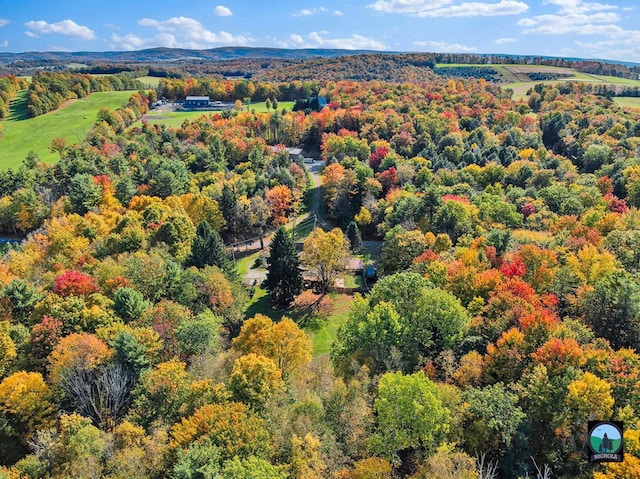 drone / aerial view