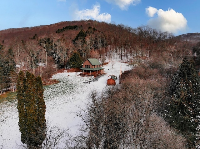 view of mountain feature