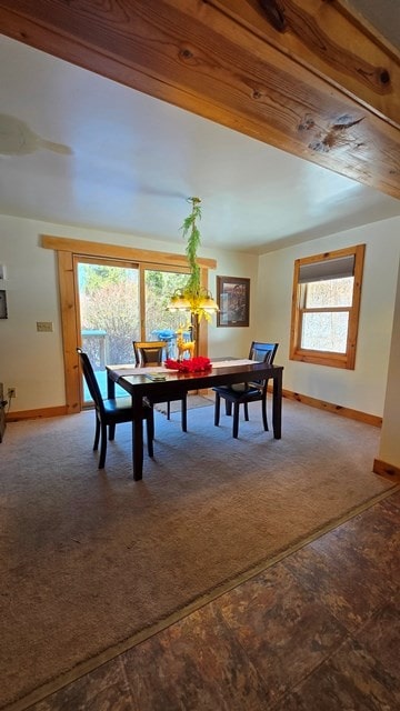 dining room with carpet flooring