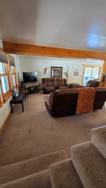 living room featuring carpet and beam ceiling