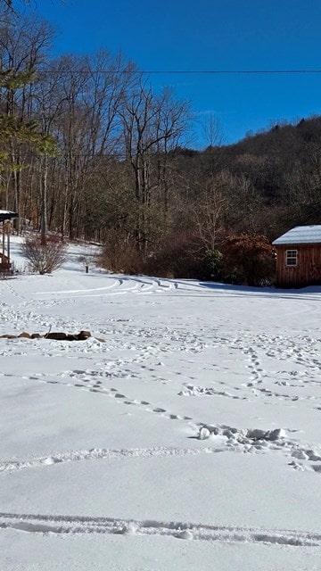 view of yard covered in snow