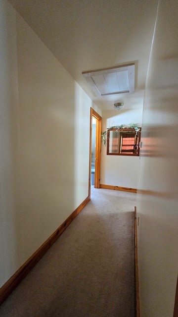 hallway featuring carpet floors