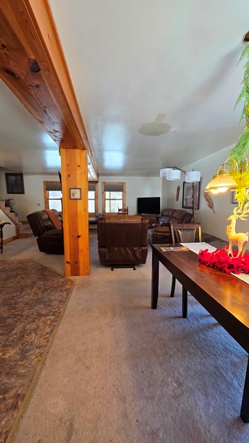 playroom featuring carpet floors