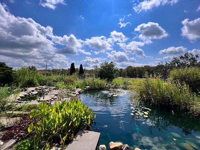 view of water feature featuring a garden pond