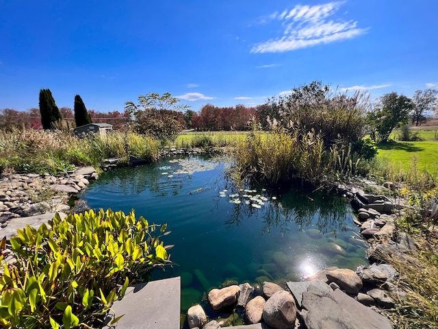 property view of water with a garden pond