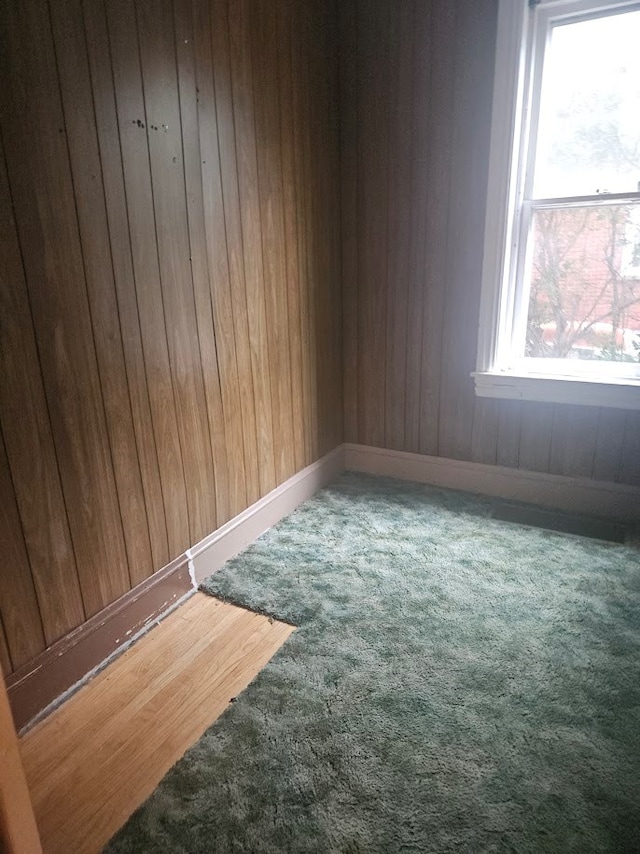 304 N Elmer Ave, Sayre, PA 18840 - carpeted empty room featuring wooden walls and baseboards
