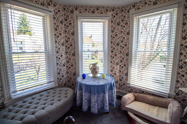 122 Headley Ave, Dushore, PA 18614 - photo 54