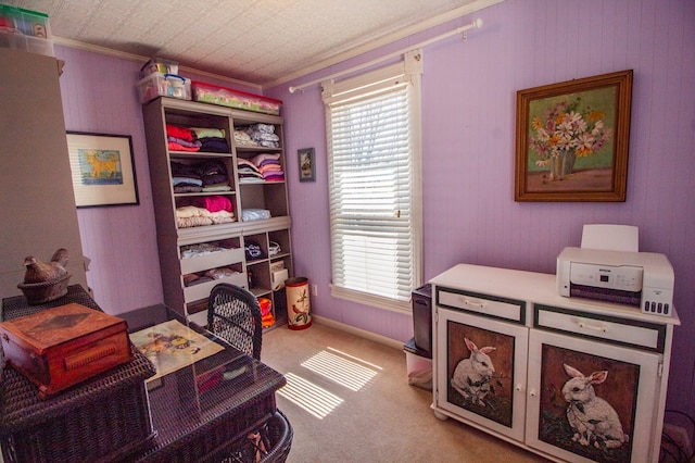 122 Headley Ave, Dushore, PA 18614 - photo 47