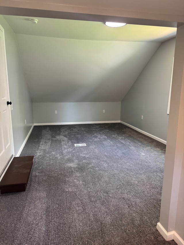 121 Park Pl, Waverly, NY 14892 - additional living space featuring lofted ceiling and dark carpet