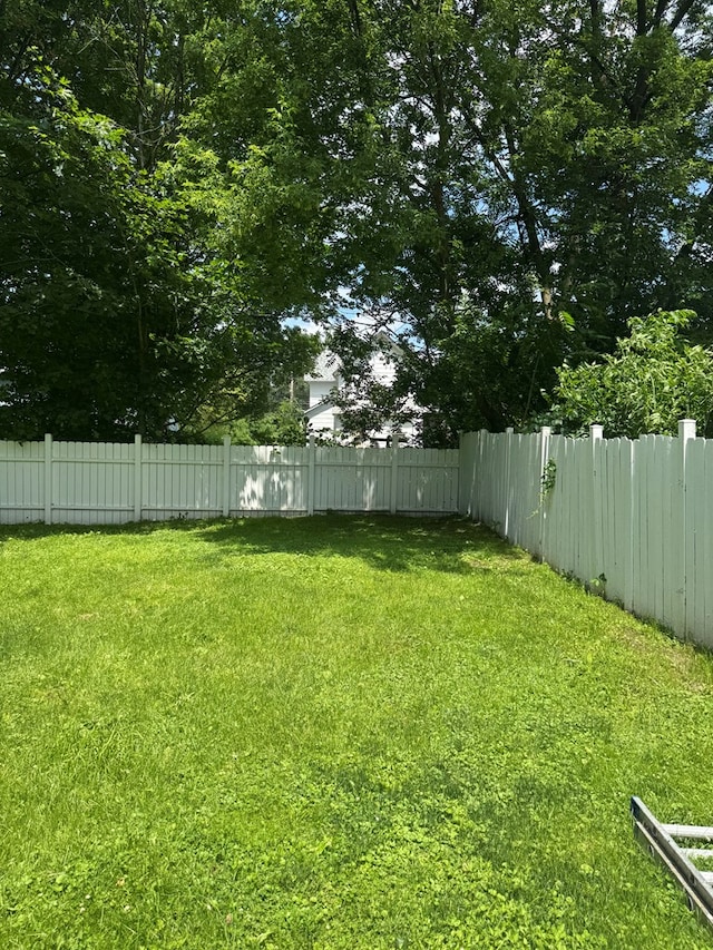 121 Park Pl, Waverly, NY 14892 - view of yard