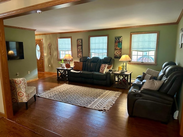 living room with dark hardwood / wood-style floors and crown molding