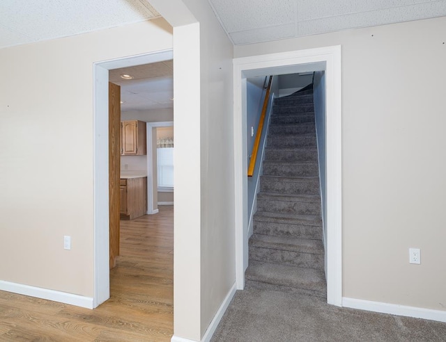 staircase featuring wood-type flooring