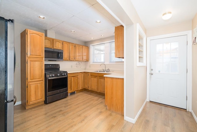 kitchen featuring sink, stainless steel appliances, and light hardwood / wood-style flooring