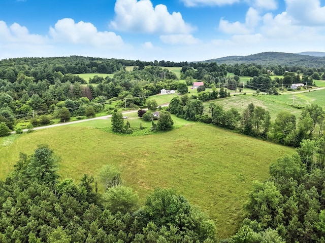 3847 Wilmot Rd, Wyalusing, PA 18853 - photo 16