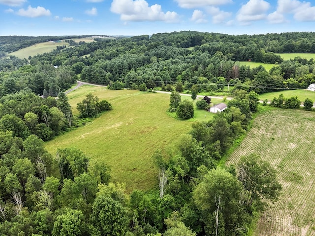 3847 Wilmot Rd, Wyalusing, PA 18853 - photo 17