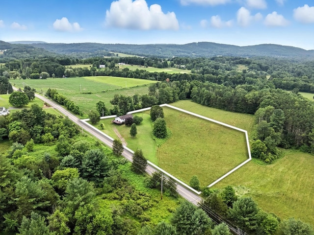 3847 Wilmot Rd, Wyalusing, PA 18853 - photo 24