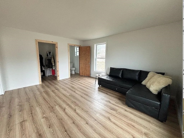 living room featuring light hardwood / wood-style floors