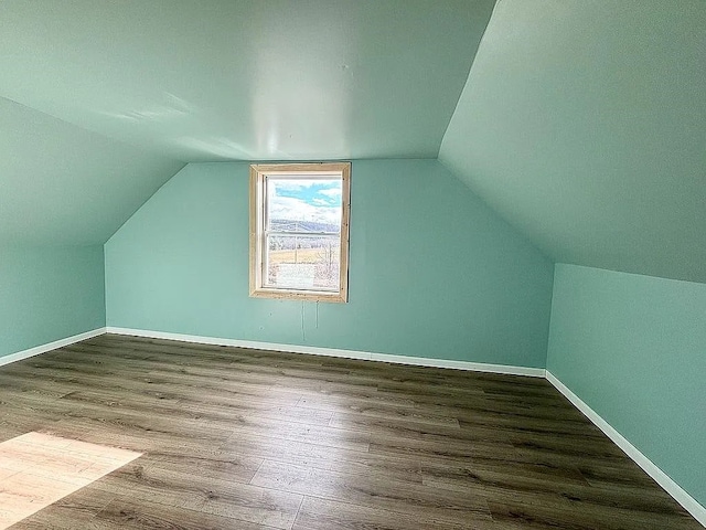 additional living space featuring hardwood / wood-style flooring and vaulted ceiling