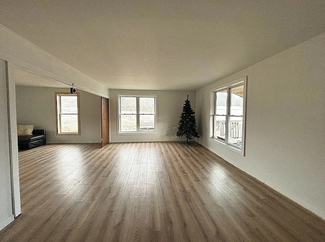 spare room featuring hardwood / wood-style flooring and a wealth of natural light