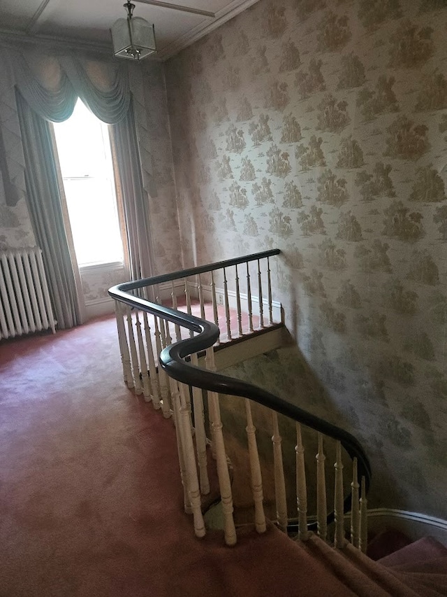 446 Pennsylvania Ave, Waverly, NY 14892 - stairway with radiator heating unit, carpet floors, wallpapered walls, and ornamental molding