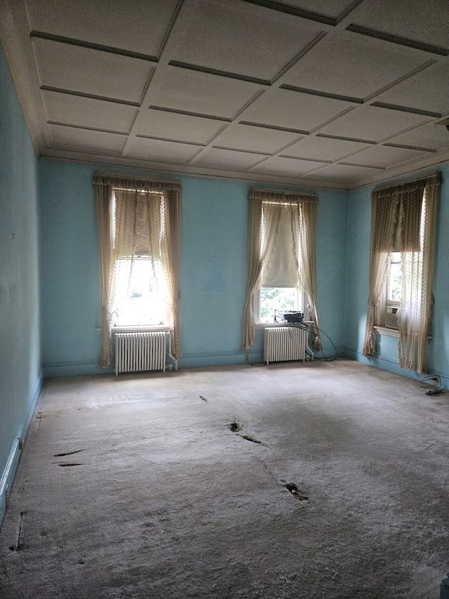 446 Pennsylvania Ave, Waverly, NY 14892 - carpeted spare room with radiator and plenty of natural light