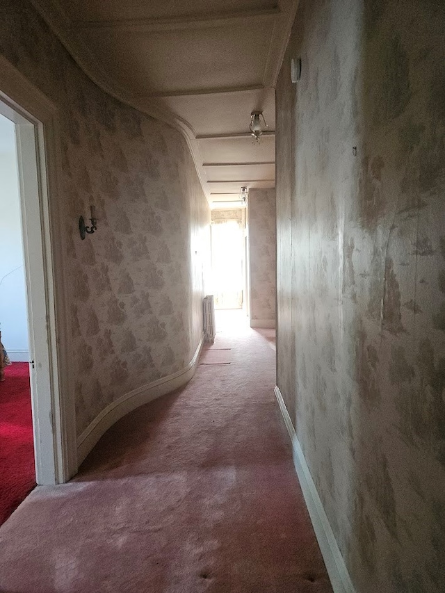 446 Pennsylvania Ave, Waverly, NY 14892 - hallway featuring carpet flooring and baseboards