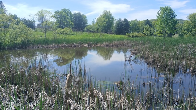 2323 Cotton Hollow Rd, Athens, PA 18810 - water view