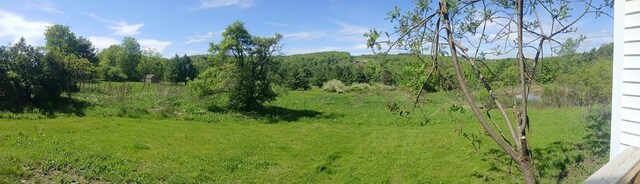 2323 Cotton Hollow Rd, Athens, PA 18810 - view of local wilderness