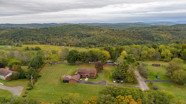 bird's eye view