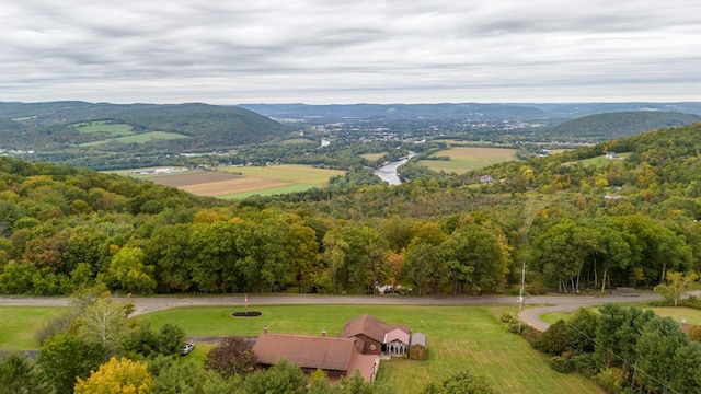 bird's eye view with a mountain view